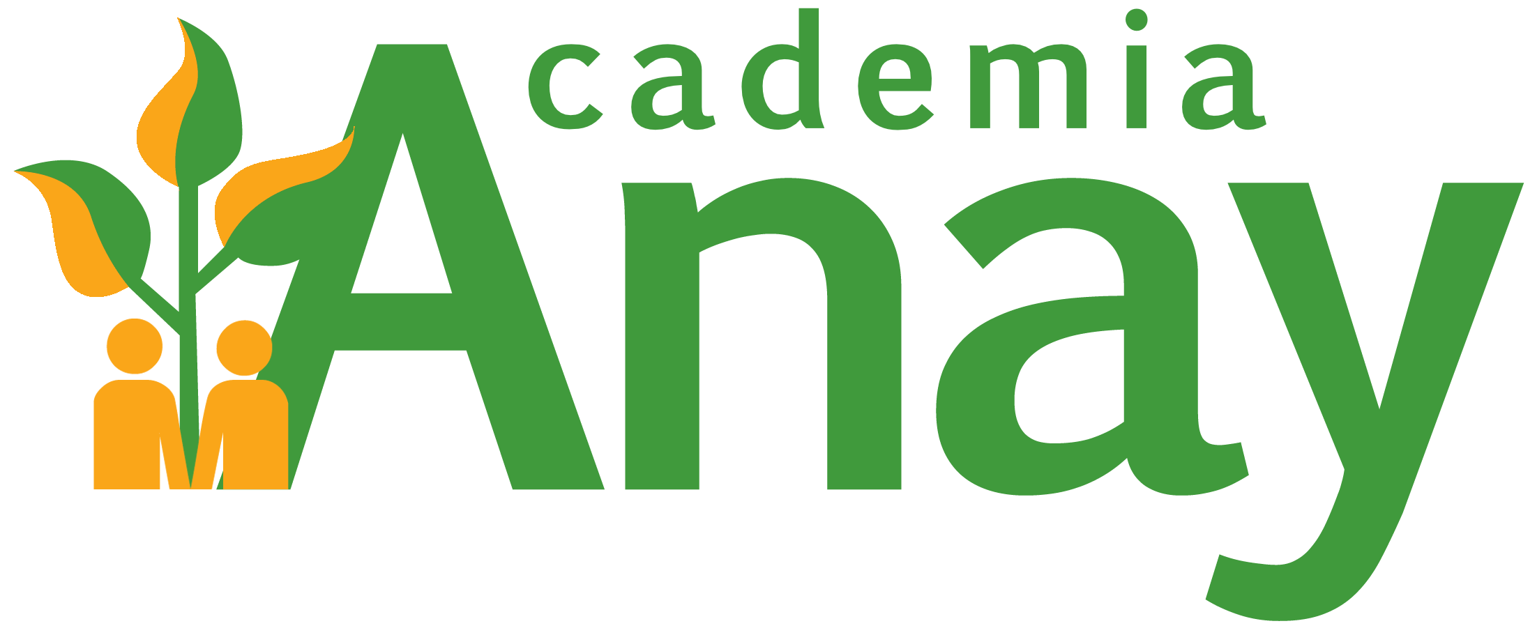 Academia Anay